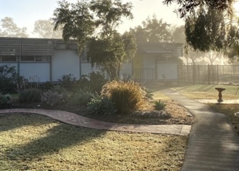 Public School
